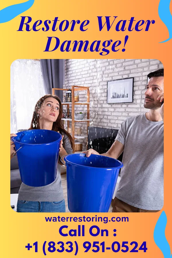 water restoration United Damage Recovery Services Goose Creek Lake