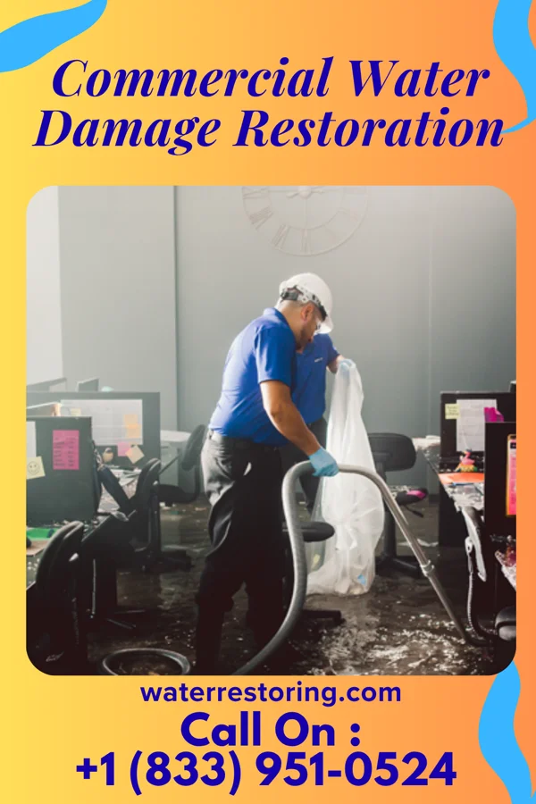 Commercial Water Damage Restoration in Goose Creek Lake, MO